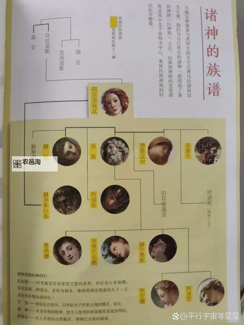西方十二主神分别是谁：详解希腊神话中的重要神祇图1