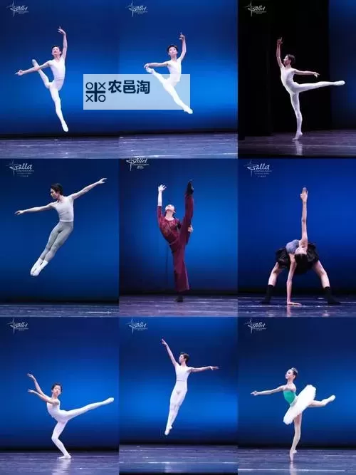 《中国梦之声十二强名单揭晓：新星崭露头角引期待》图1