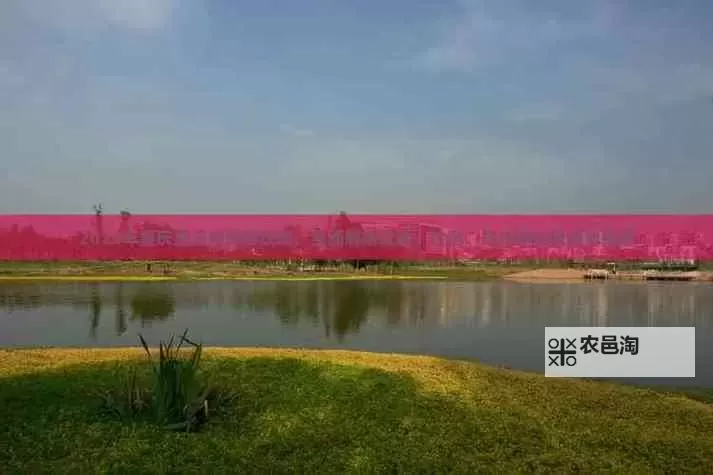 全面指南：祖玛寺庙一层到七层攻略全解析图1