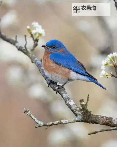 探索刺激体验：18禁影院的精彩世界图1