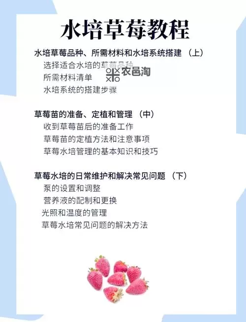 如何获取水霉免费资源的方法推荐图1