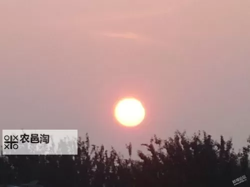 蚌埠发生日食事件 引发市民观测热潮图1