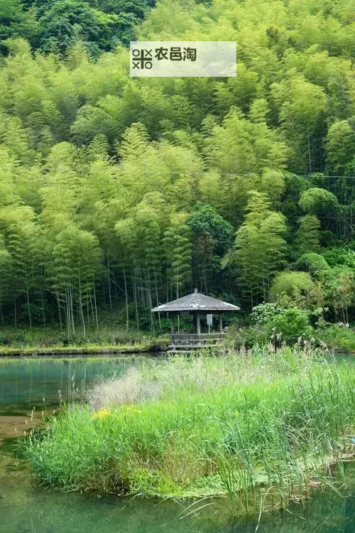 证监会吴清重磅发声：深化证券市场改革迈出关键一步图1