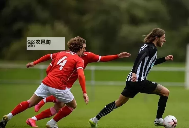 诺维奇vs布里斯托尔城分析:两队战术对决与赛前展望图1