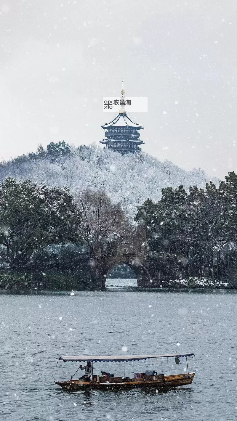 991西湖飘雪多少一张：雪景美如画，价格实惠等你来享图1