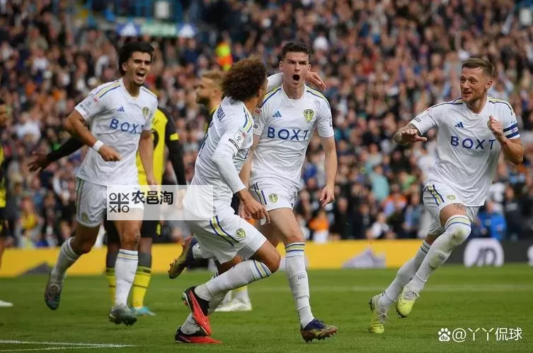 诺维奇vs布里斯托尔城分析:两队战术对决与赛前展望图2