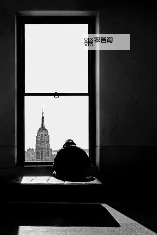 在落地玻璃窗C乳：光影中的静谧瞬间图1