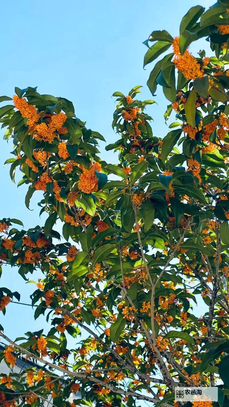 证监会吴清重磅发声：深化资本市场改革 推动高质量发展图1