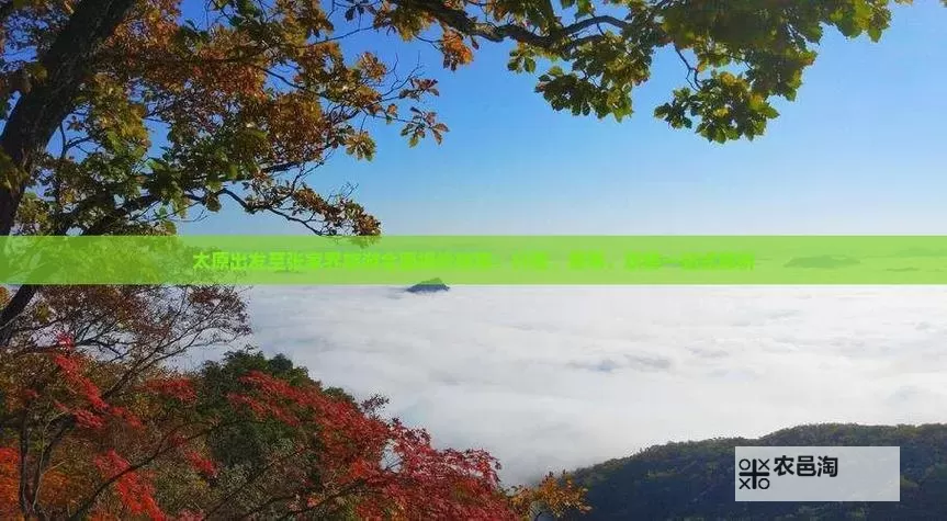 全面指南：祖玛寺庙一层到七层攻略全解析图2