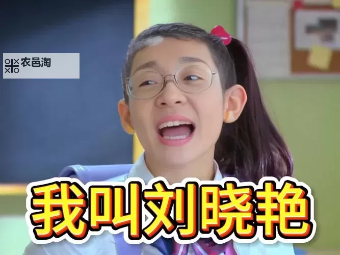 征服同学的麻麻李淑凤：揭秘她的班级传奇图1