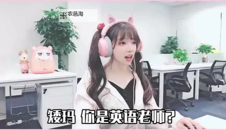 果冻传煤视频:趣味十足的爆笑瞬间集锦图1