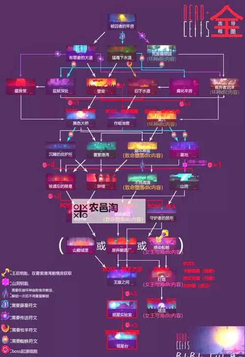 艾克黑暗收割打野符文全方位解析与最佳配置指南图1