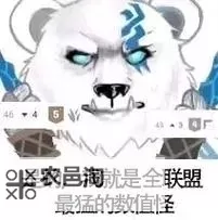 英雄联盟里狗熊叫什么？揭秘“熊大”再也不迷糊图1