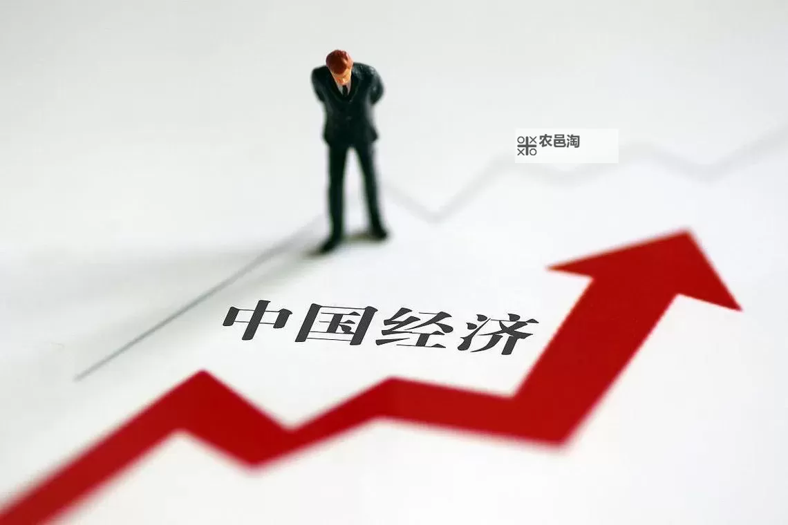 突破创新:探索国产一二专区的发展新机遇图2