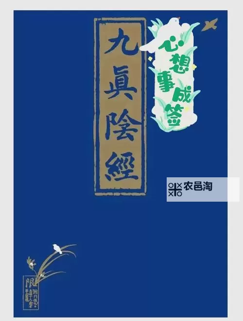 九阴真经易容多少钱2022:最新价格解析与实用指南图1