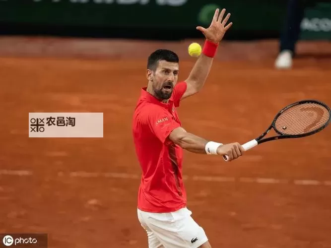 该如何击败德约科维奇:顶尖策略与实战秘笈图2