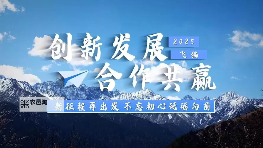 突破创新:探索国产一二专区的发展新机遇图1