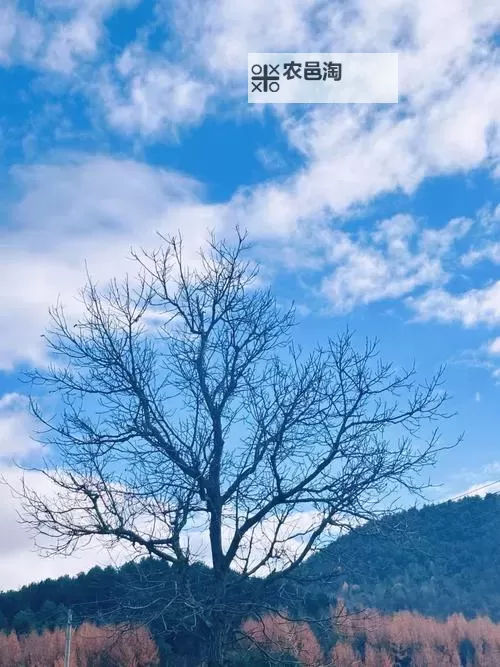 造梦西游3角木铲怎么做教程详解图2