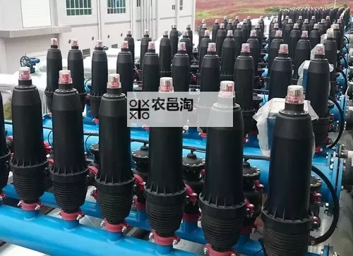 优质RB灌溉JY系统助力海棠高效生长与丰产图2