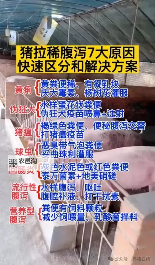 猪7怎么走图片大全:详细路线图与操作指南图1