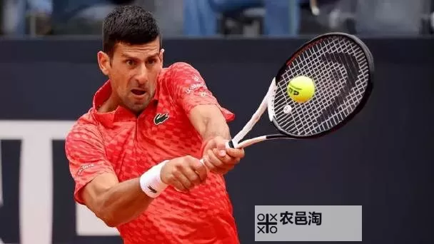 德约科维奇晋级罗马赛八强 展现强势回归图1