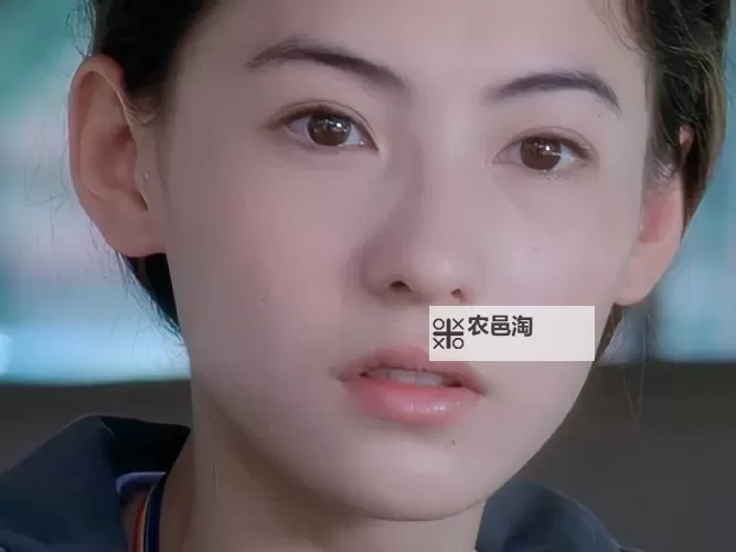 张柏芝演唱《酒醉的蝴蝶》:一场令人难忘的音乐盛宴图1