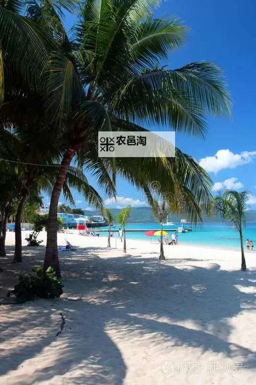 御龙在天贴吧最新消息:龙舞区精彩动态与最新资讯图1