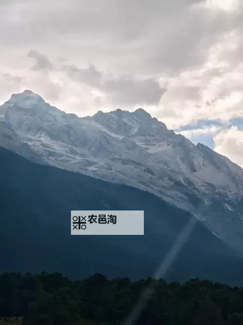 中国梦之声杨成瑞:歌声传递梦想的力量图1