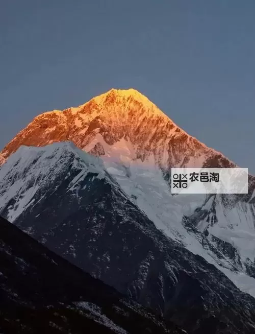 热血无赖怎么获得子弹:详细攻略指南图1