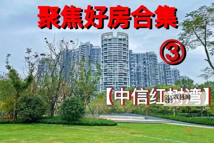 好房子资讯聚焦 解放日报带你探寻优质居所图1