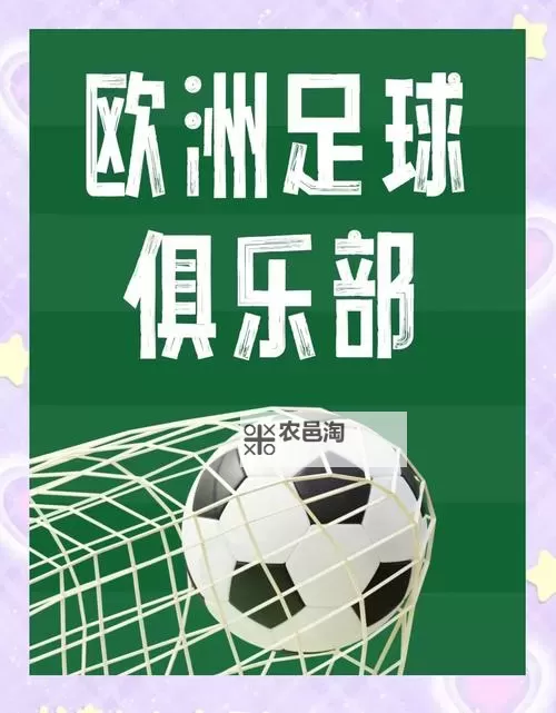 欧洲各国的足球风云录:精彩纷呈的足球盛宴图1