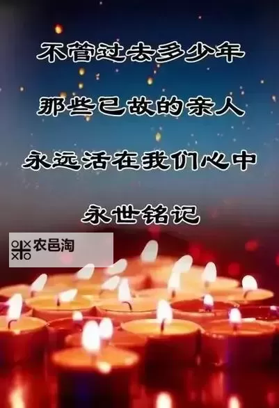 珍爱网找人南天王:寻找失散亲人的温暖之旅图2