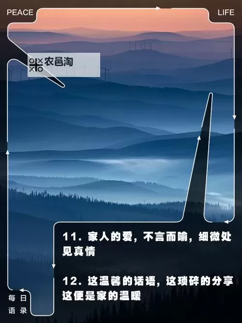 珍爱网找人南天王:寻找失散亲人的温暖之旅图1