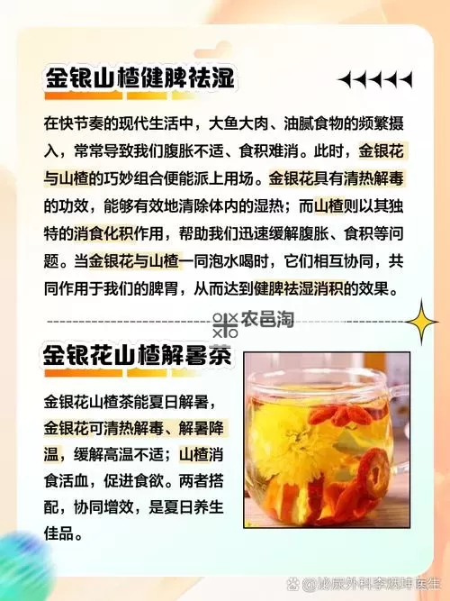 银荡学院TXL金银花:传承古方的现代养生奇迹图1