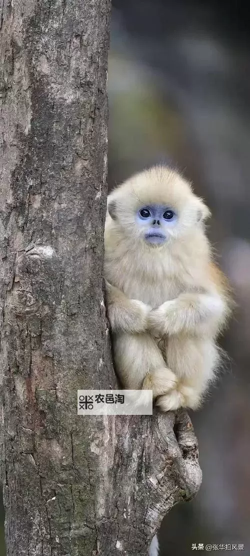 探索新潮体验:番茄乐园黄片带来的精彩世界图1