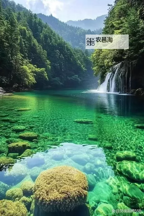 飞龙宝杖要打哪些boss:攻略详解与战术建议图1