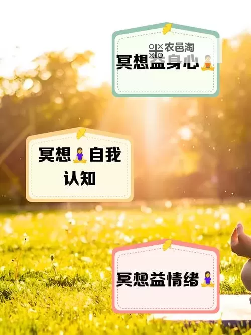 打坐入定可以代替睡觉吗:探讨心灵与身体的平衡之道图1