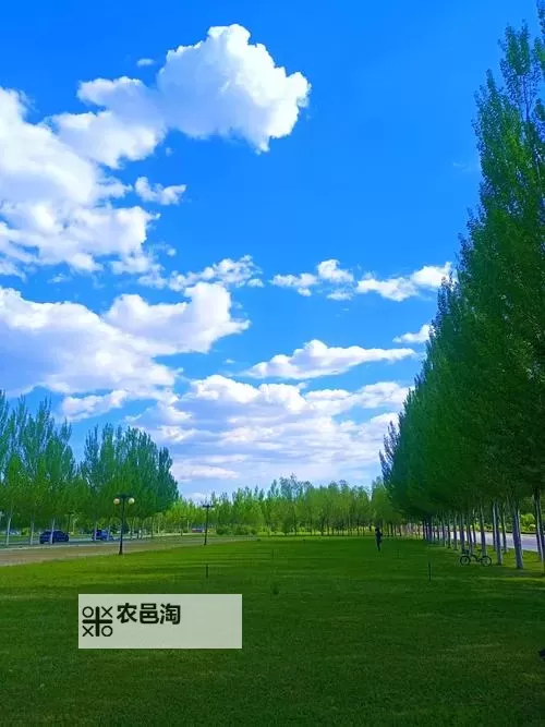 浅仓彩音视频色诱:细腻演绎诱惑魅力图1