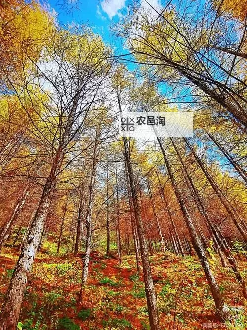 鬼泣5大楼里如何走指南：详解路线与技巧图1