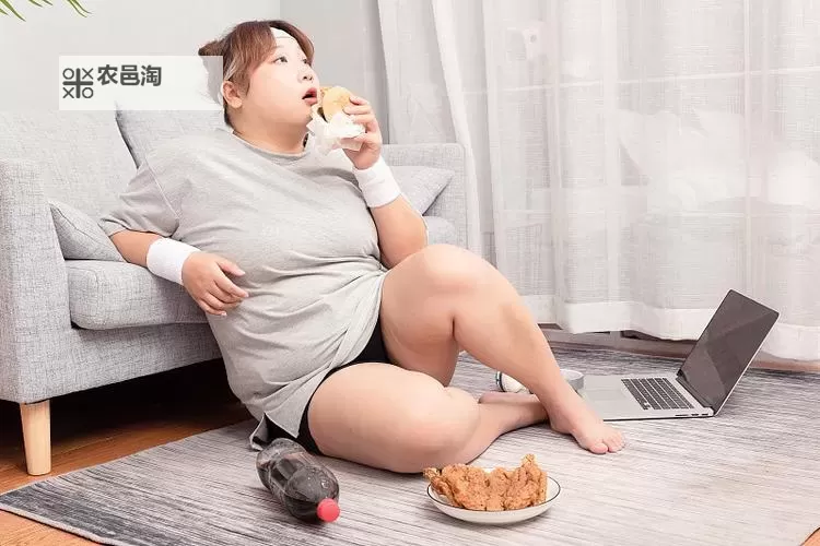 胖女热久久wwww：欢乐时光里的可爱瞬间图1