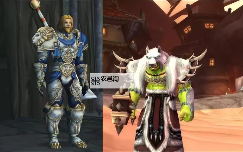 乌龟服战士攻略:全面提升战斗技巧的实用指南图1