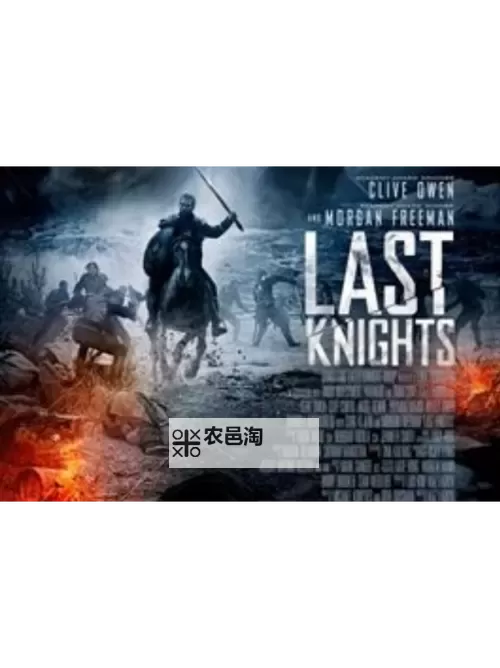 世界上最后的骑士:守护古老荣耀的最后守望者图1