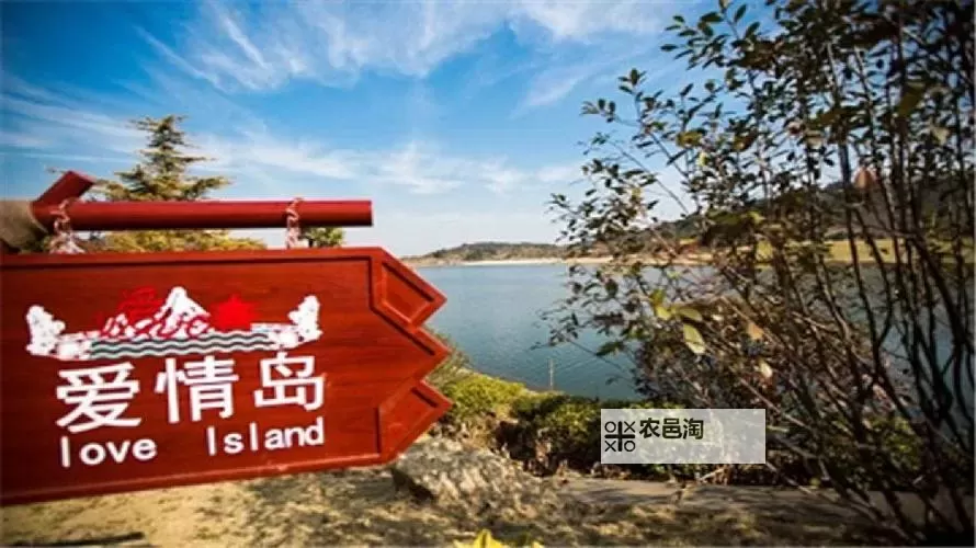 探索爱情岛亚洲论坛高品质免费线路1，畅享极致交流体验图1