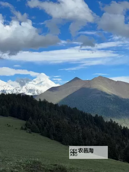 探索最新娱乐资源尽在 www.91在线:您的优选平台图1