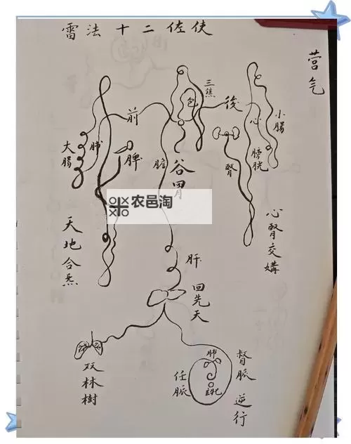 揭秘玄秘的修炼之道——《造化炼体决》全景解析图1