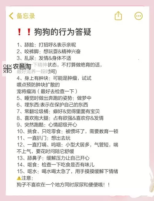 怎样教狗狗进入自己:建立信任与亲密关系的有效方法图1