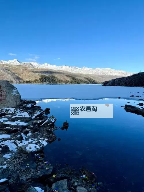 热血无赖怎么获得子弹:详细攻略指南图2