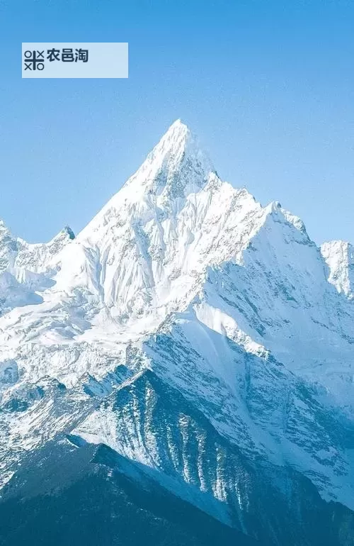 最新一本道dvd更新：丰富内容尽在掌握图1