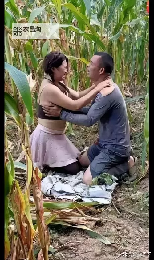 探索玉米地打扑克又疼又爽视频的精彩瞬间与背后故事图1