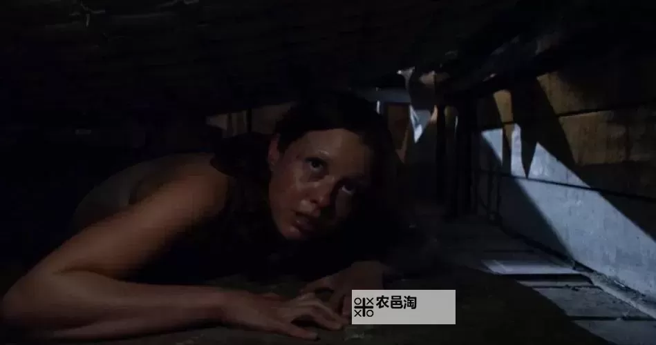 揭秘浴室少女20天恐怖图片背后的真相与恐怖故事图1